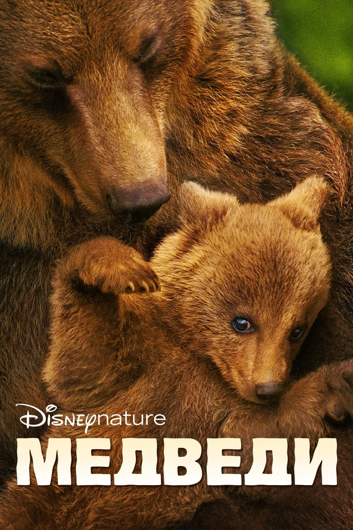 Медведи (2014) poster
