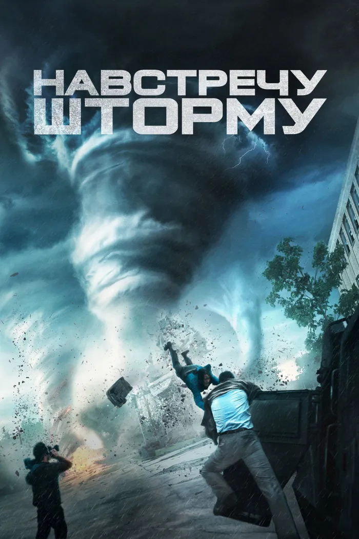 Навстречу шторму (2014) poster