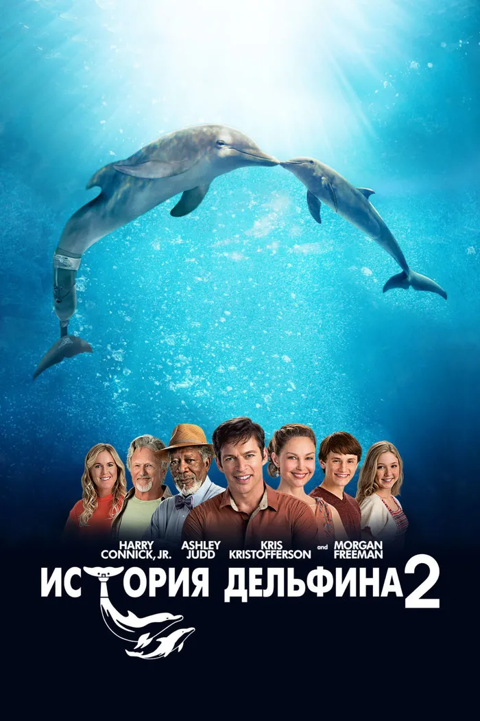 История дельфина 2 (2014) poster