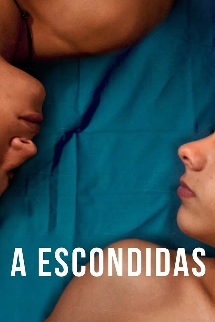 A escondidas (2014) poster