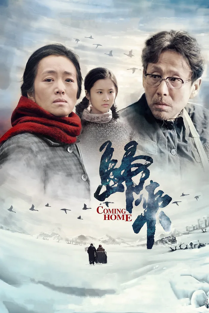 Возвращение домой (2014)