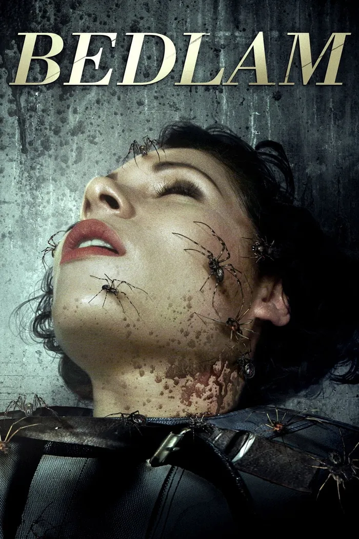 Психбольница Бедлам (2015) poster