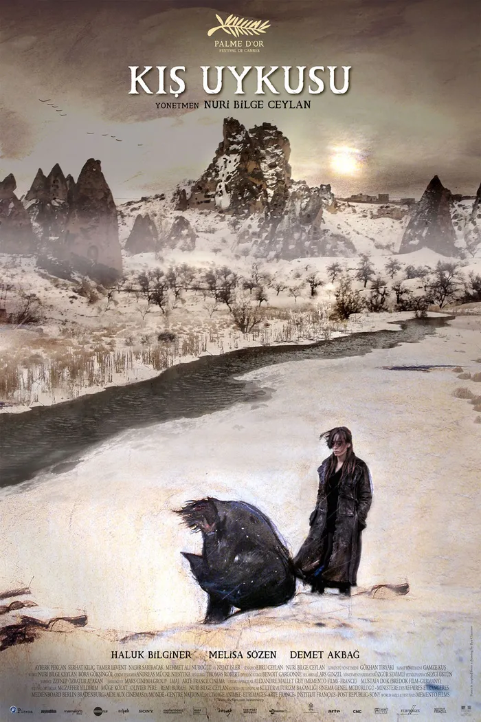 Зимняя спячка (2014) poster