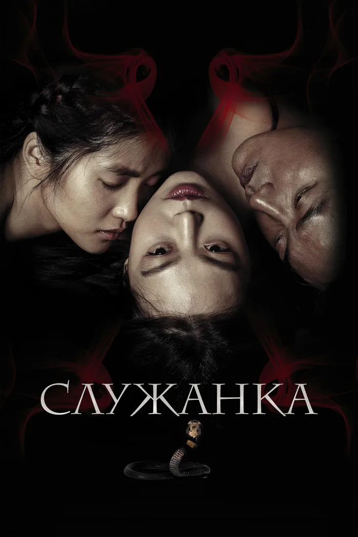 Служанка (2016) poster