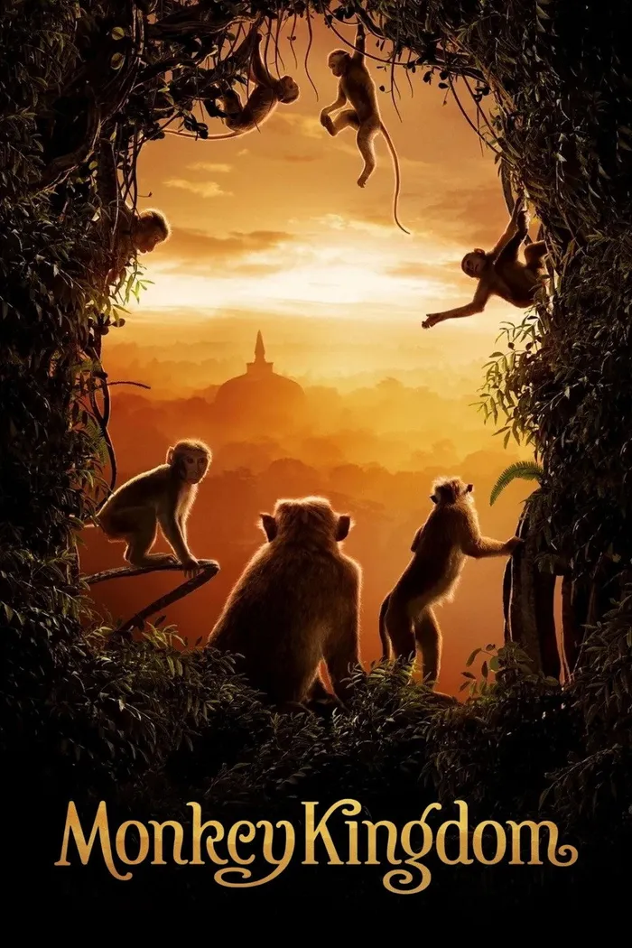 Королевство обезьян (2015) poster