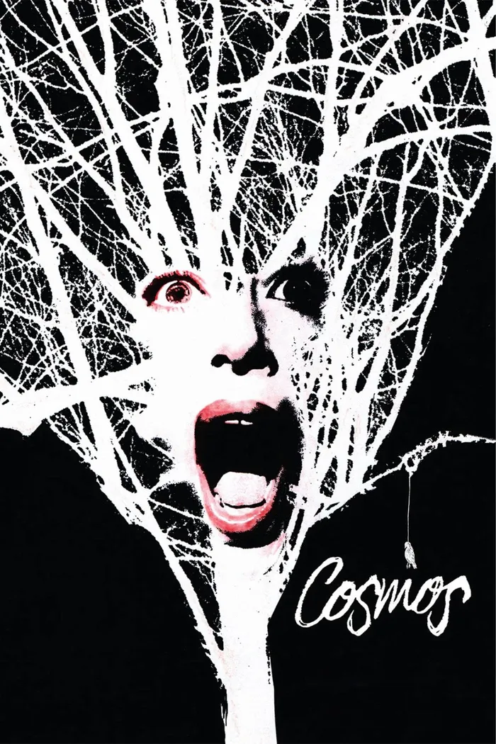 Космос (2015) poster