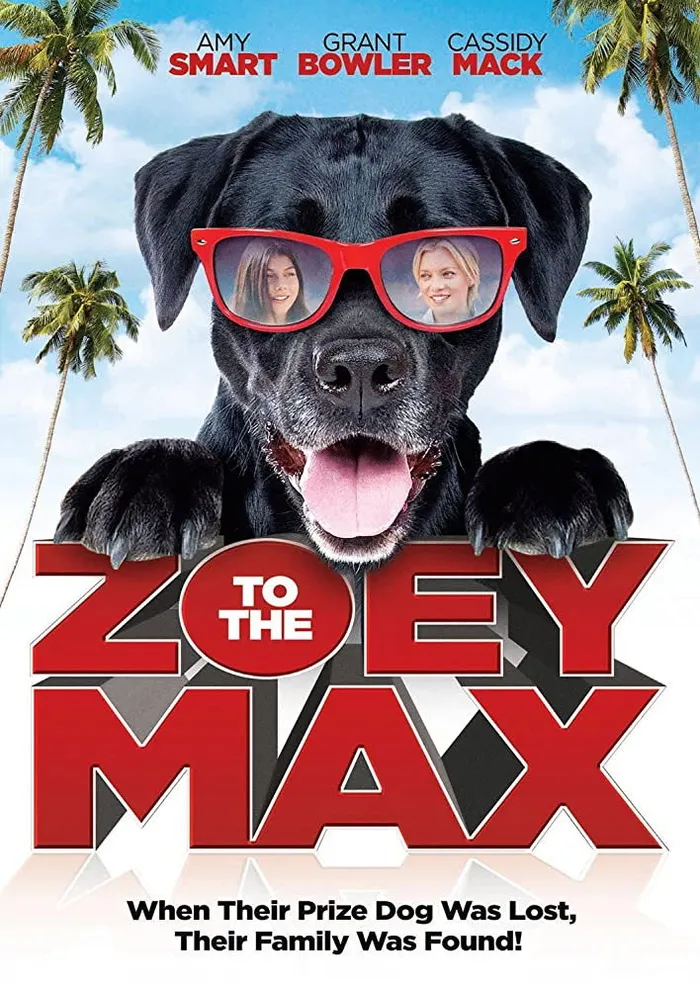 Макс и Зоя (2015) poster