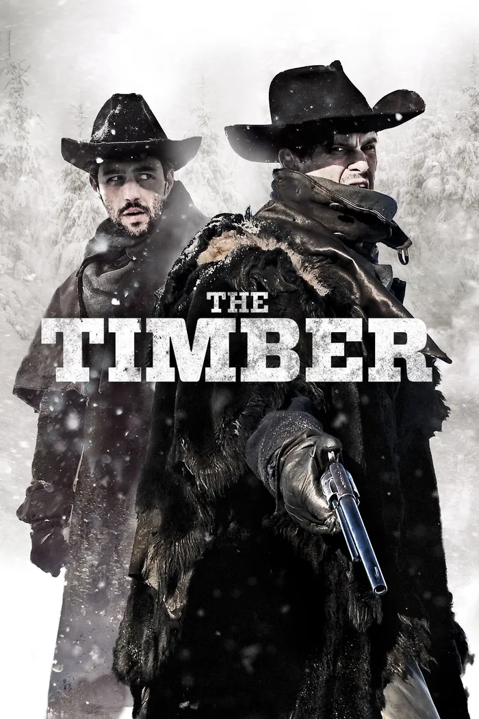Достоинство (2015) poster
