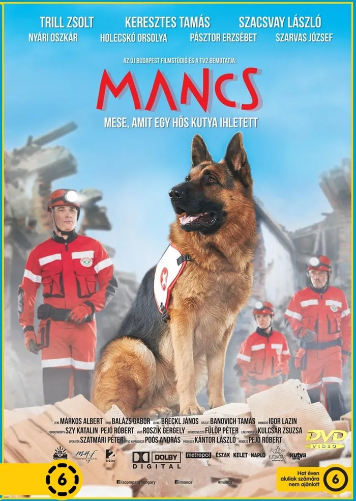 Лапа (2015) poster