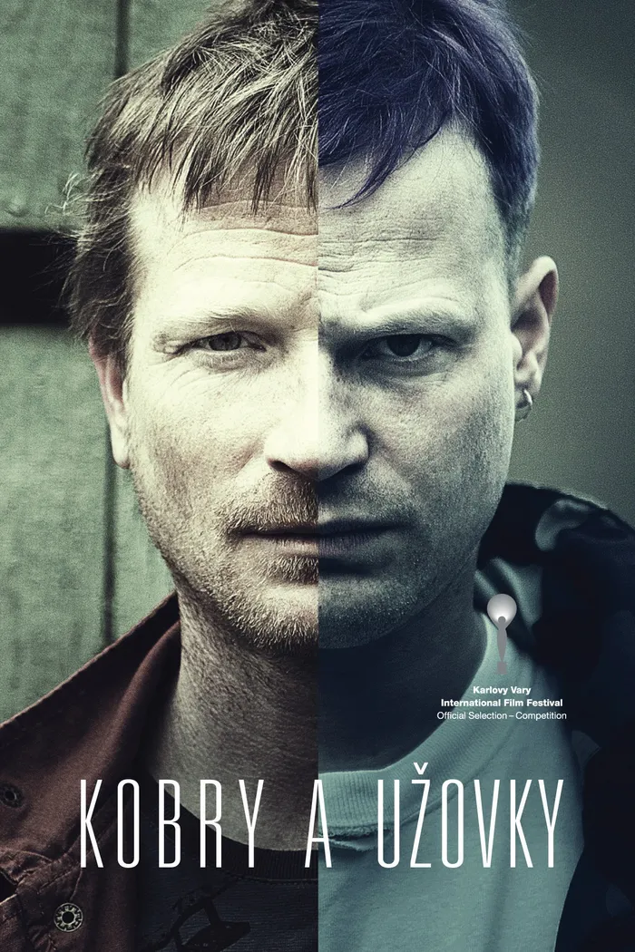 Кобры и ужи (2015) poster
