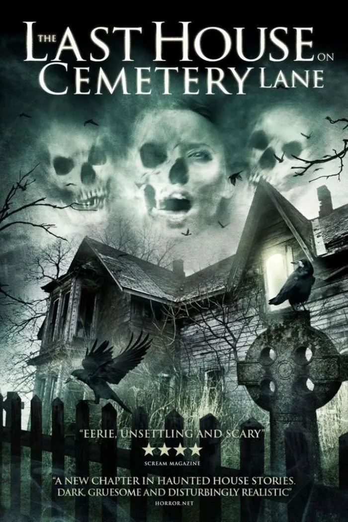 Последний дом на Семетри Лэйн (2015) poster