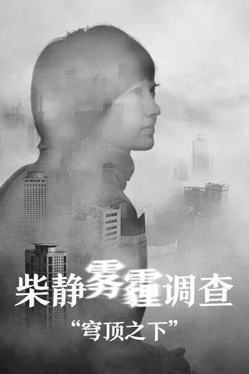 穹顶之下 (2015) poster