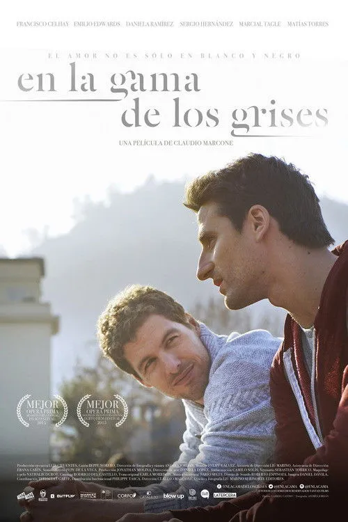 В оттенках серого (2015) poster