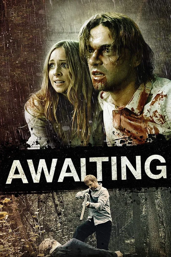 В ожидании (2015) poster