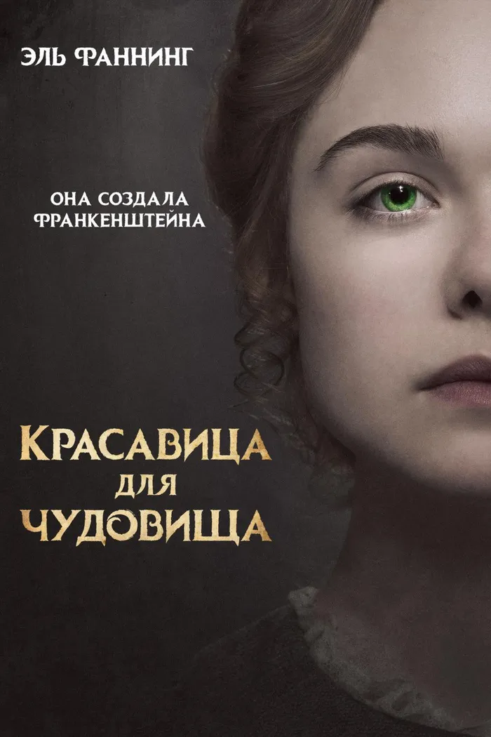 Красавица для чудовища (2017) poster