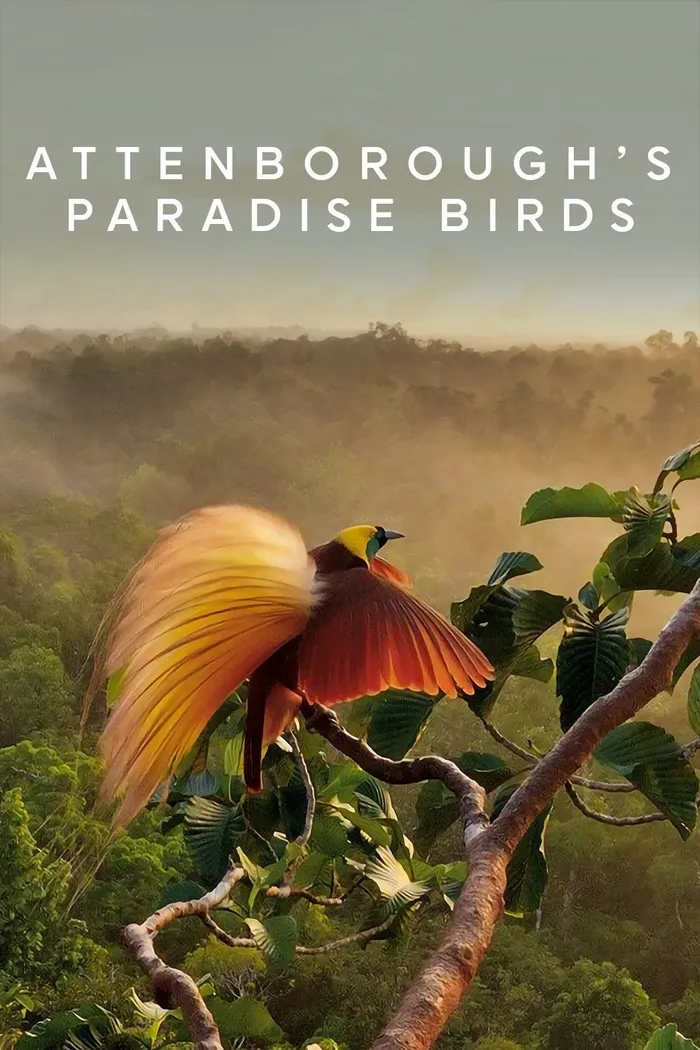 Attenborough's Paradise Birds (2015) poster
