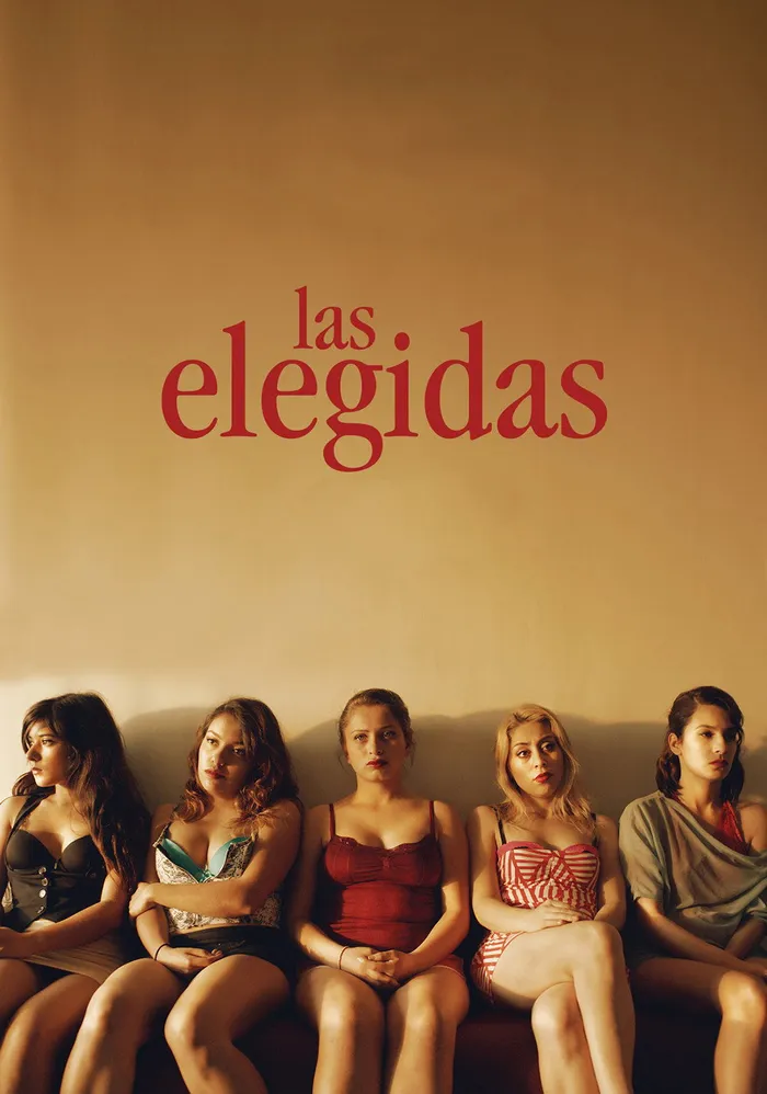 Las elegidas (2015) poster