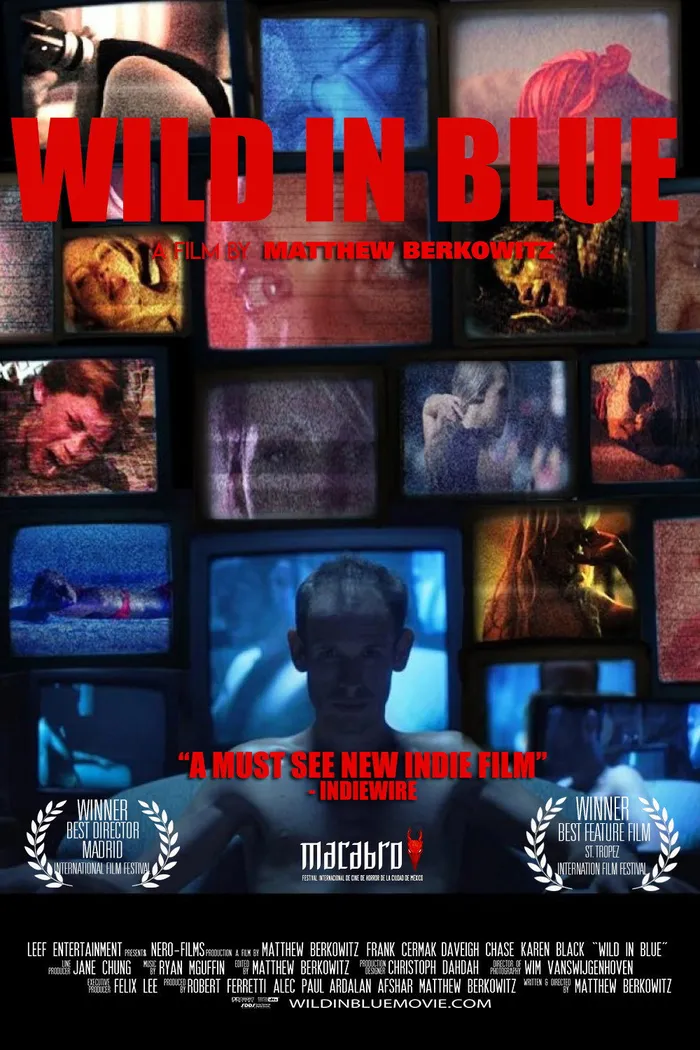 Зверство на голубом экране (2015) poster