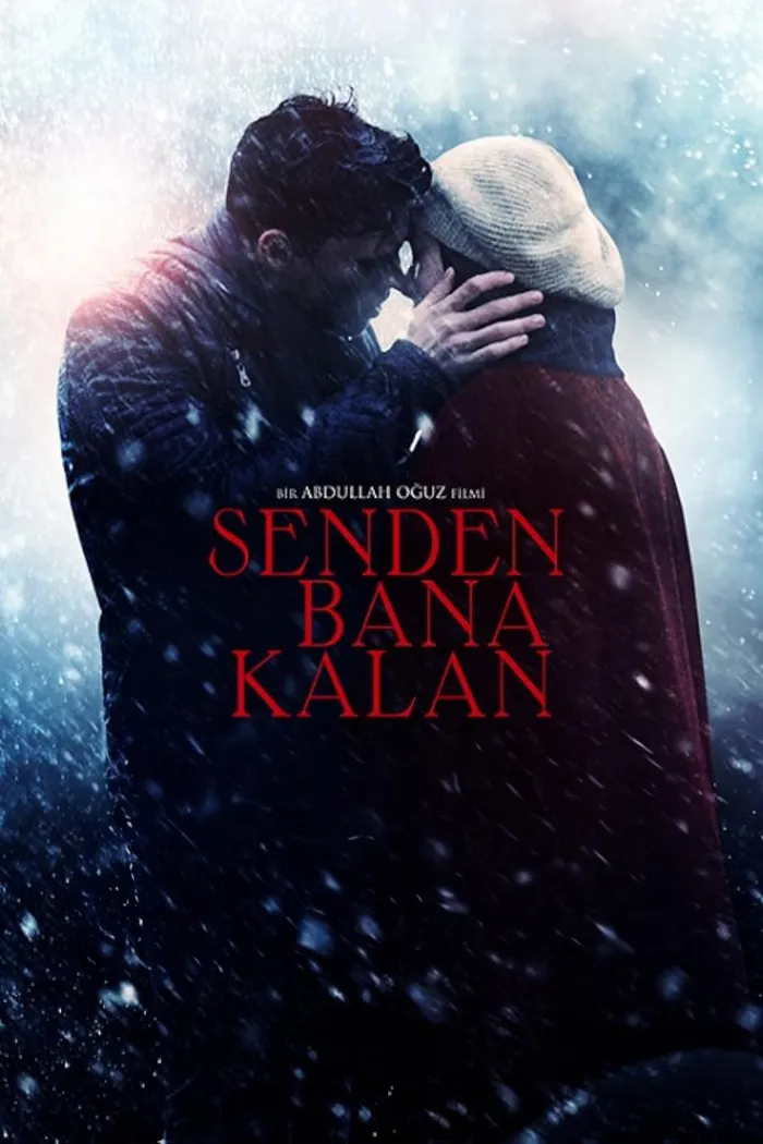 Всё, что мне осталось от тебя (2015) poster