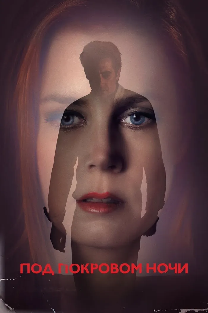 Под покровом ночи (2016) poster