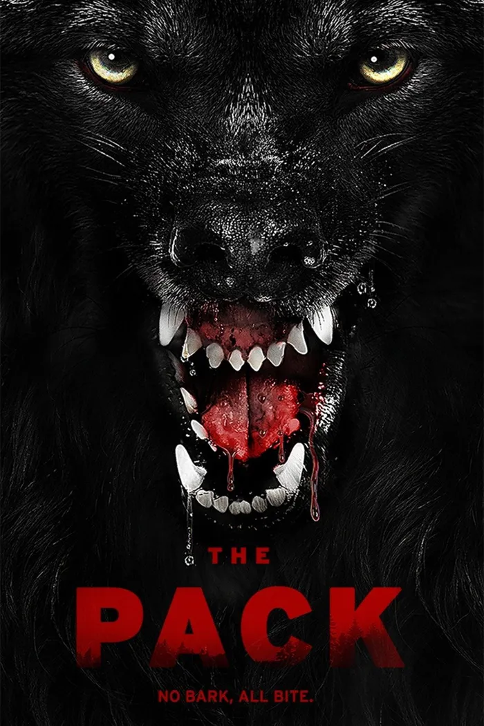 Стая (2015) poster