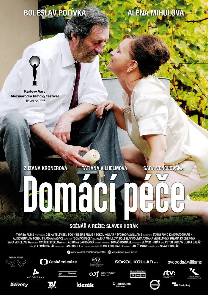 Domácí péče (2015) poster
