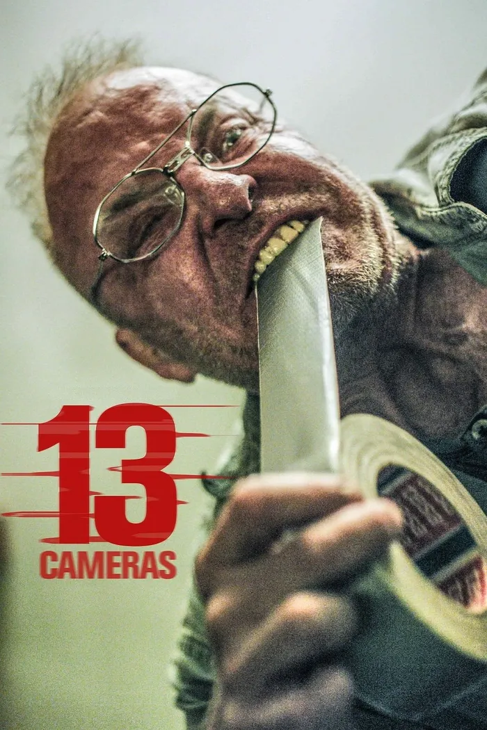 13 камер (2015) poster