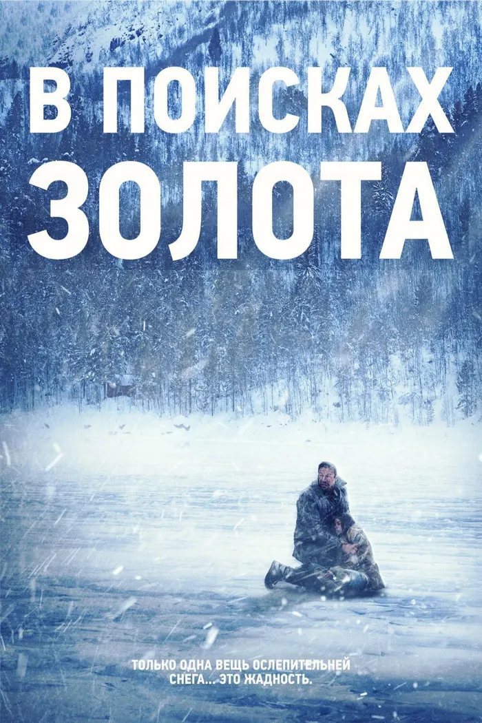 В поисках золота (2015) poster