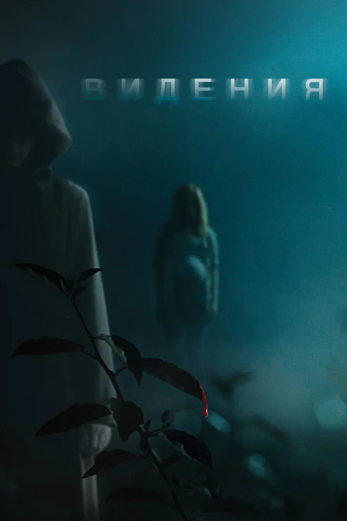 Видения (2015) poster