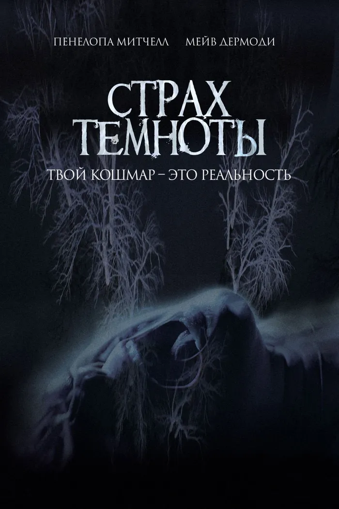 Страх темноты (2015) poster