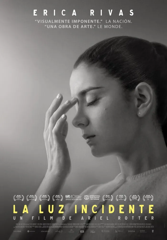 La luz incidente (2015) poster