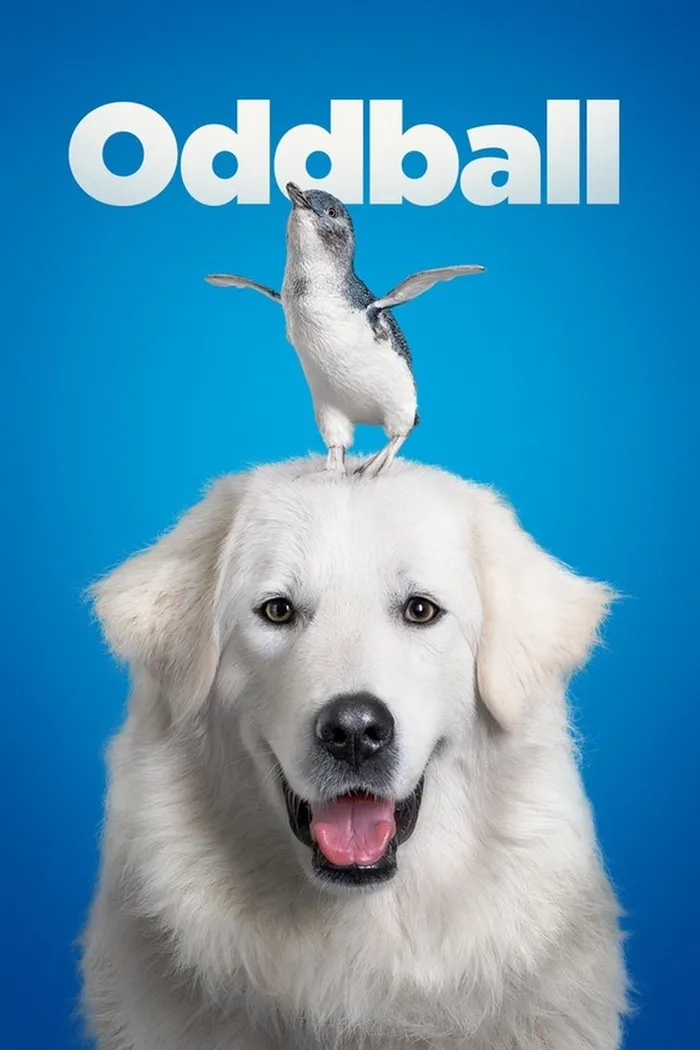 Чудак (2015) poster