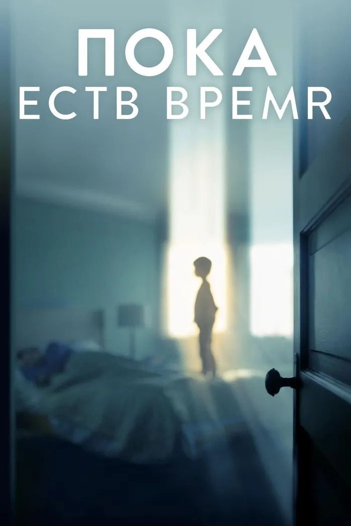 Пока есть время (2017) poster