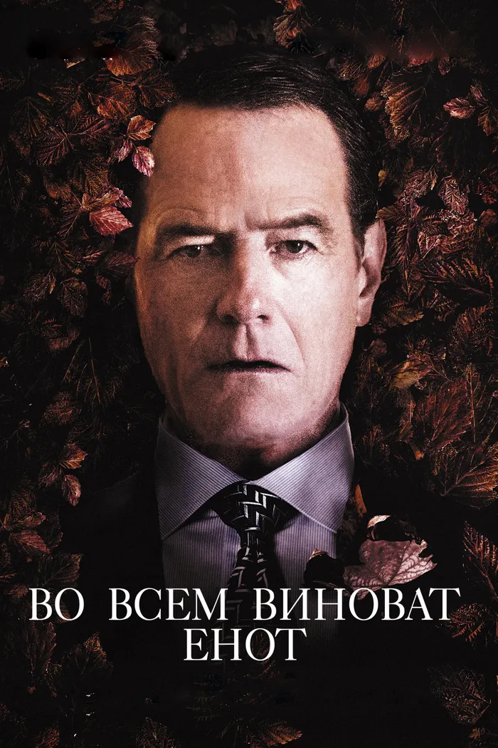 Во всём виноват енот (2016) poster