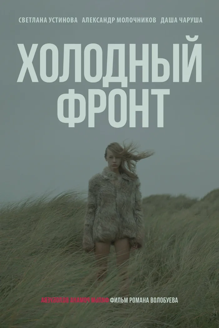 Холодный фронт (2016) poster