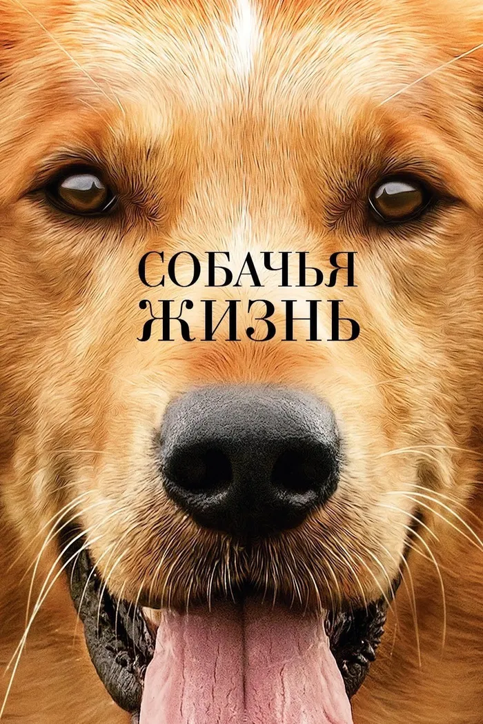 Собачья жизнь (2017) poster