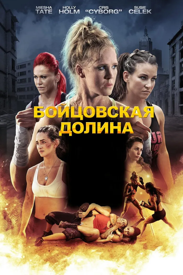 Бойцовская долина (2016) poster