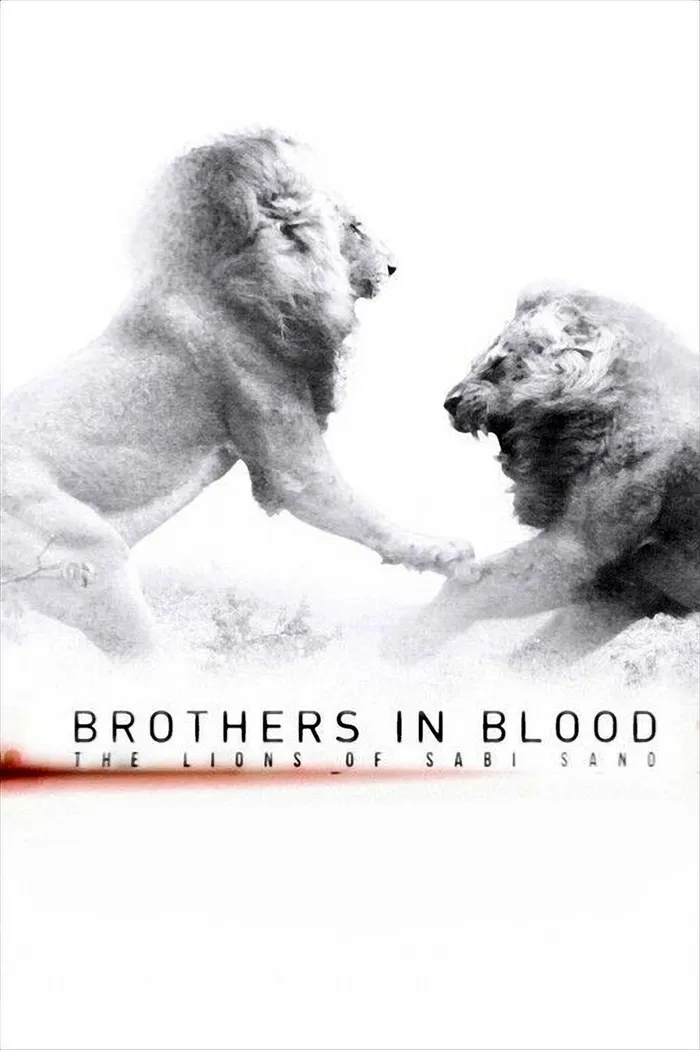 Brothers in Blood: The Lions of Sabi Sand (2015) poster