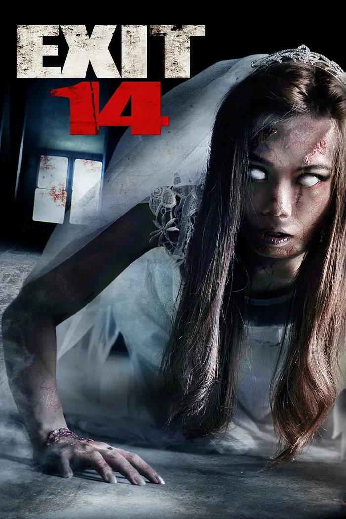 Четырнадцатый выезд (2016) poster
