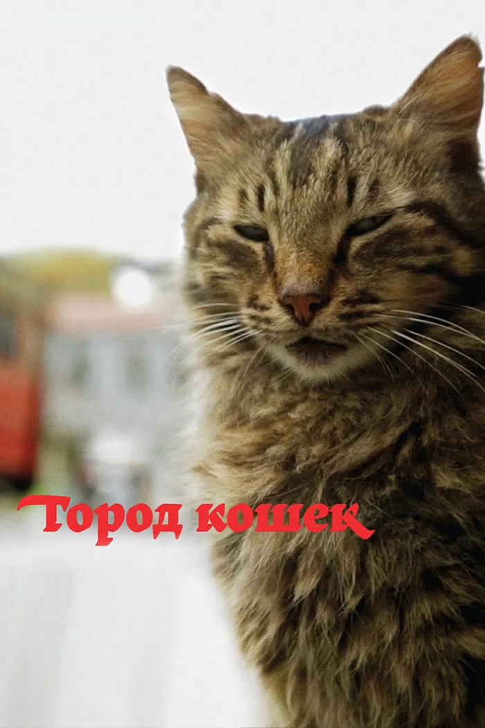 Город кошек (2016) poster