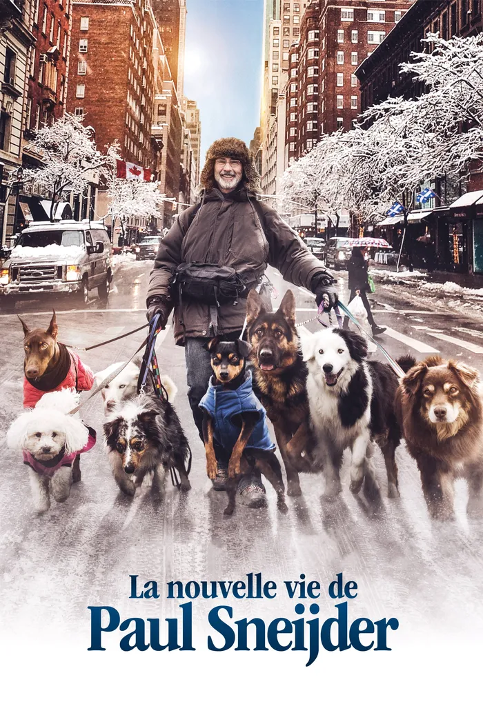 La Nouvelle Vie de Paul Sneijder (2016) poster