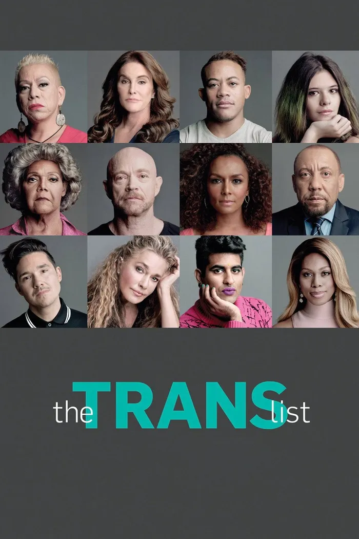 The Trans List (2016) poster