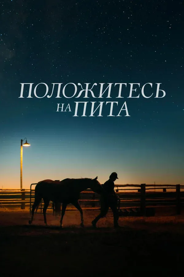 Положитесь на Пита (2017) poster