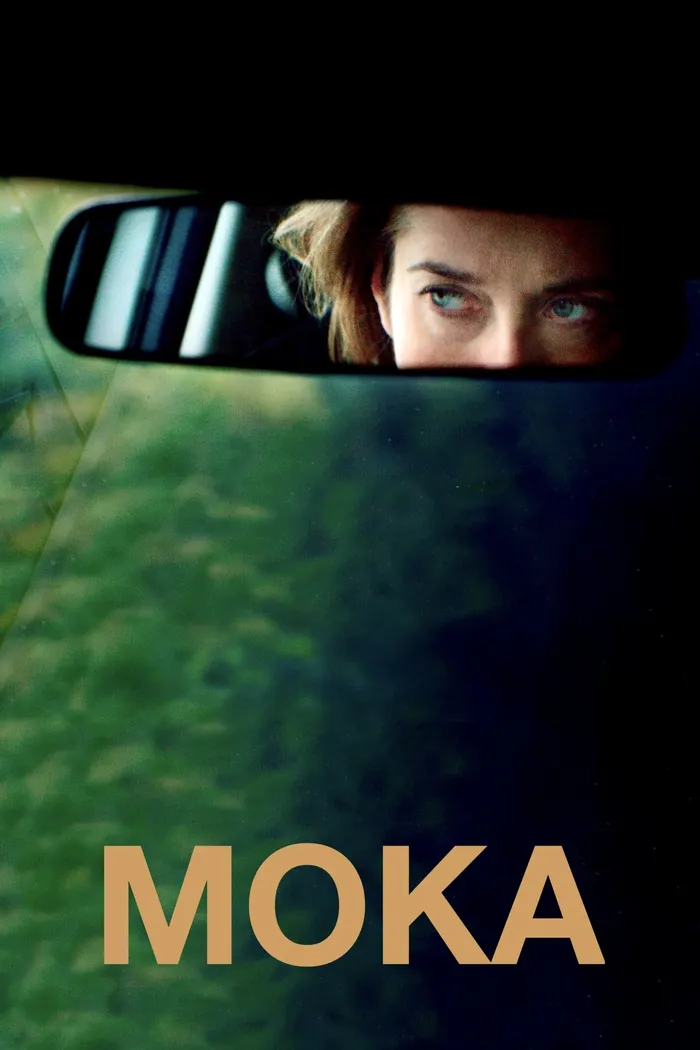 Цвет кофе с молоком (2016) poster