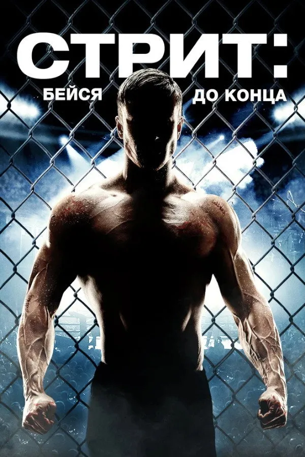Стрит: Бейся до конца (2015) poster