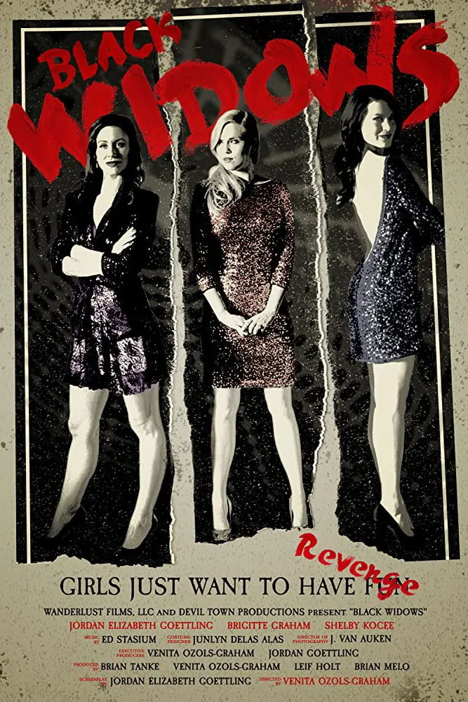 Вдовы (2016) poster