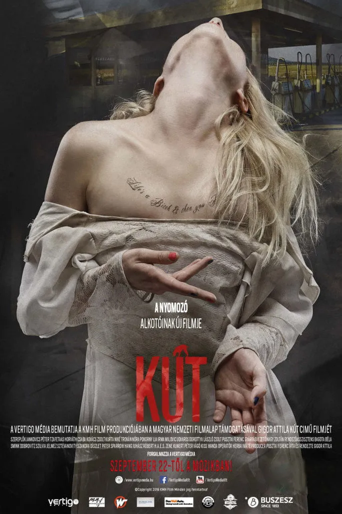 Колодец (2016) poster