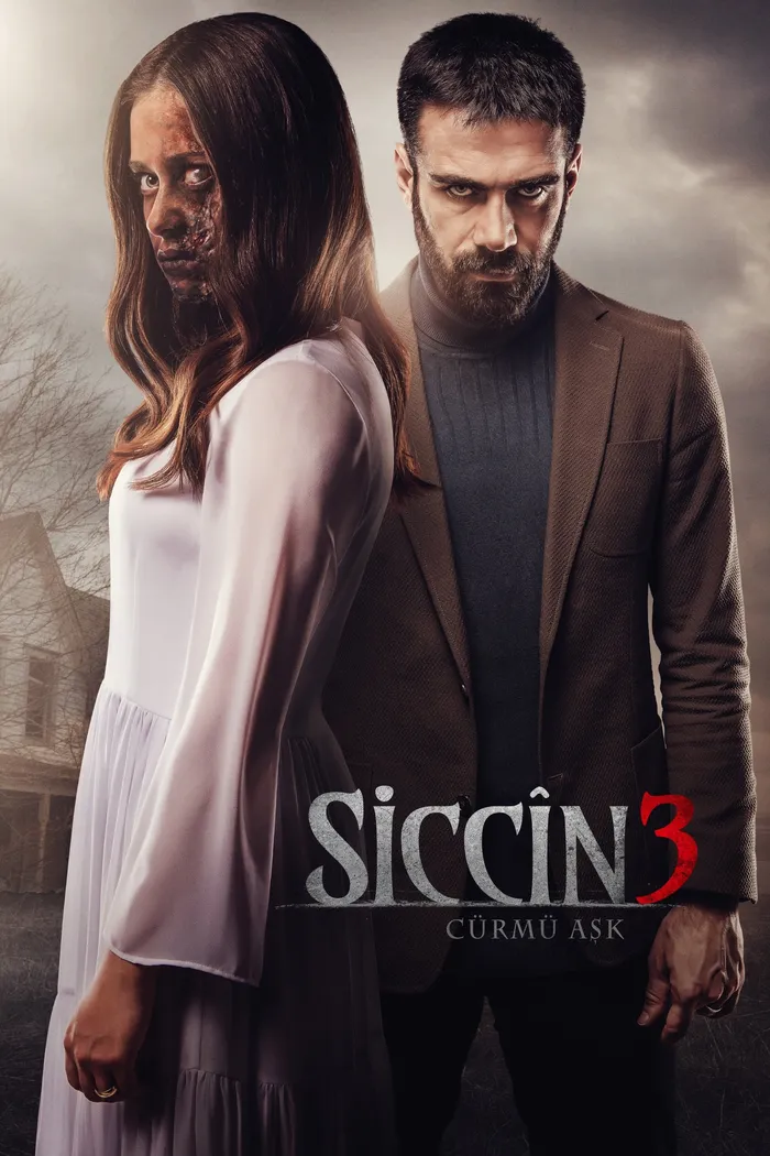 Сиджин 3 (2016) poster