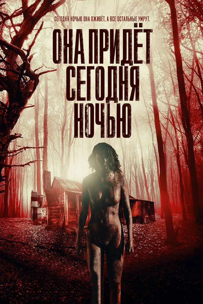 Она придёт сегодня ночью (2016) poster