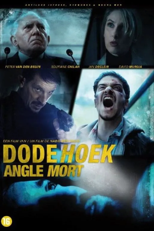 Слепая зона (2017) poster